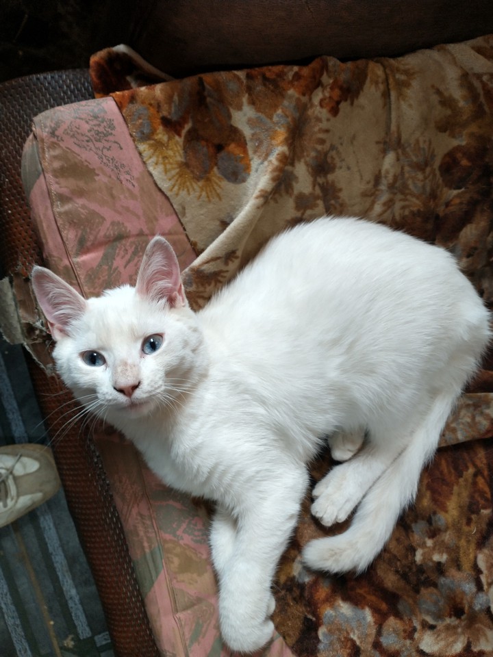 Luna