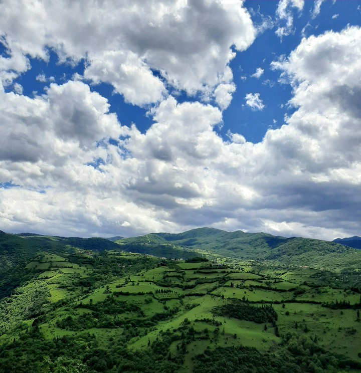Beautiful Nature