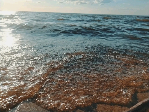 море
