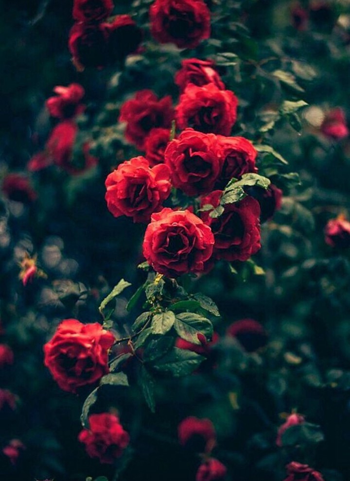 ❣️