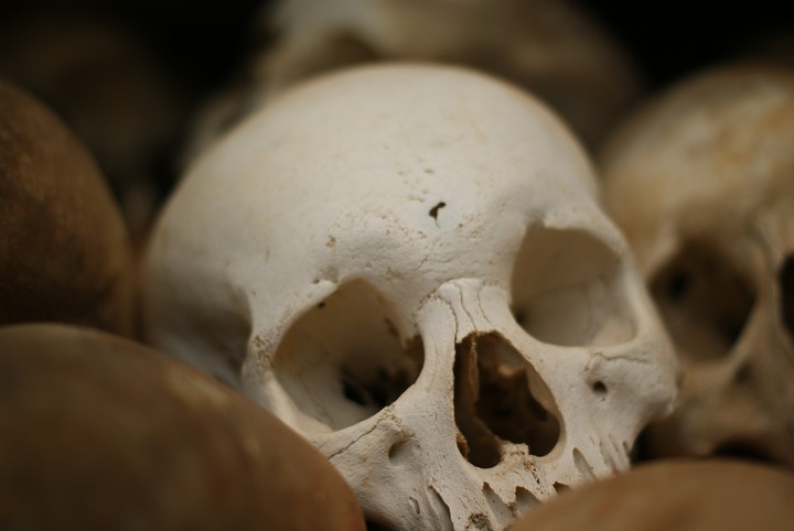 Human Skeleton