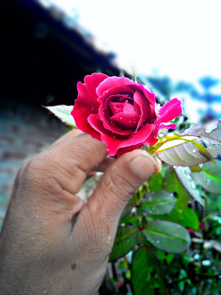 my hand