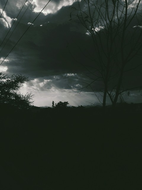 Dark light