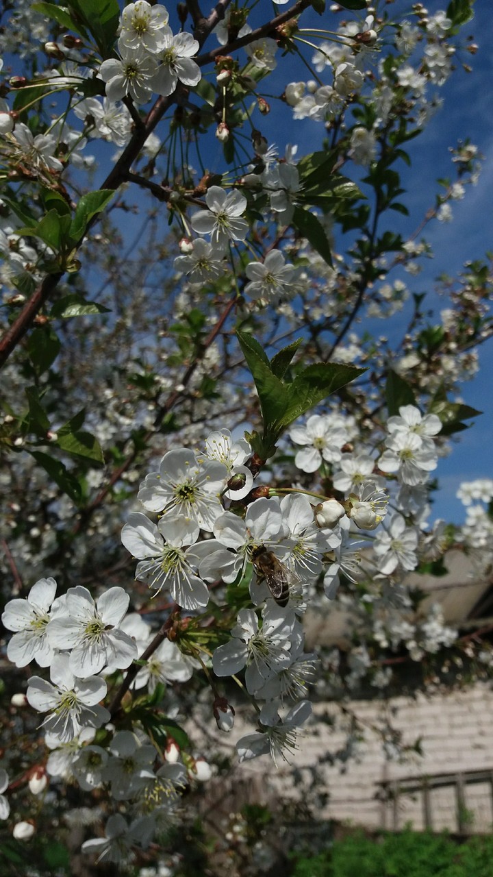 природа прекрасна
