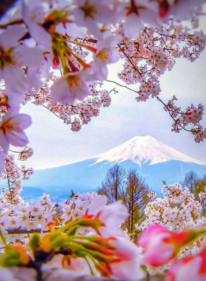 nature