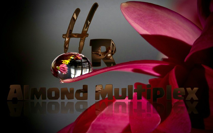 Almond Multiplex H R logo new