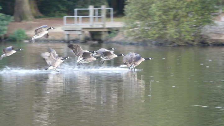 Landing