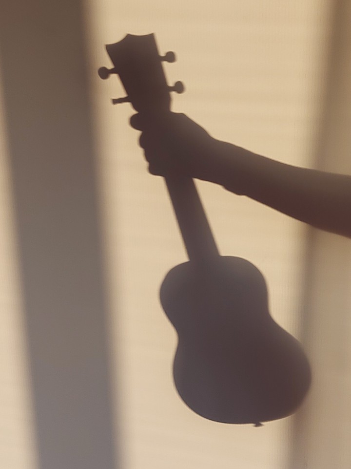 Ukulele