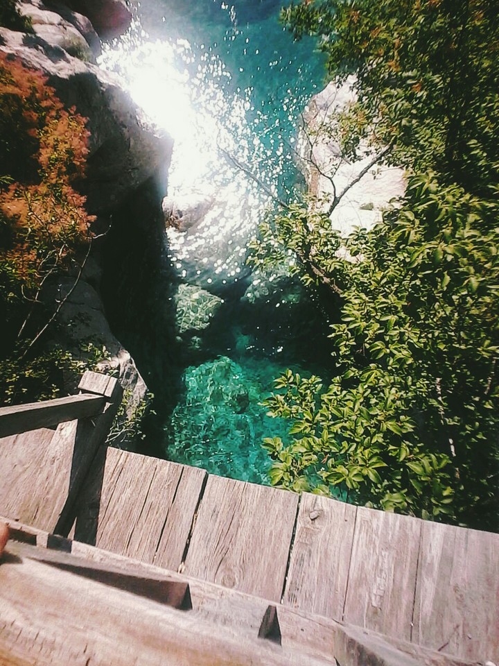 nature