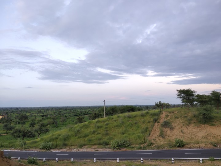 highway side