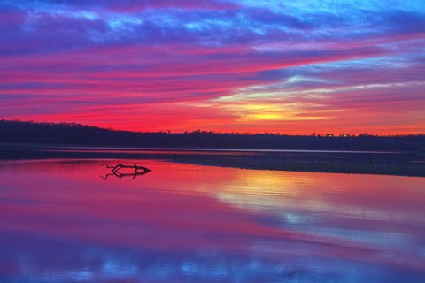Reflection