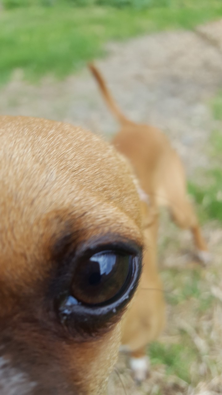 feliz