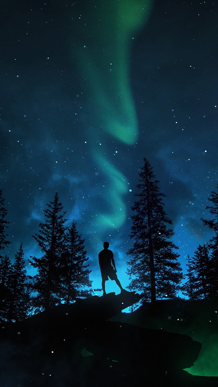 Night