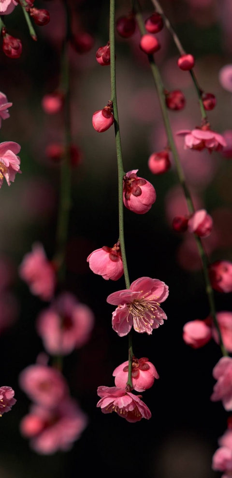 ¿All we have in this word. is the beauty of nature, no guys?