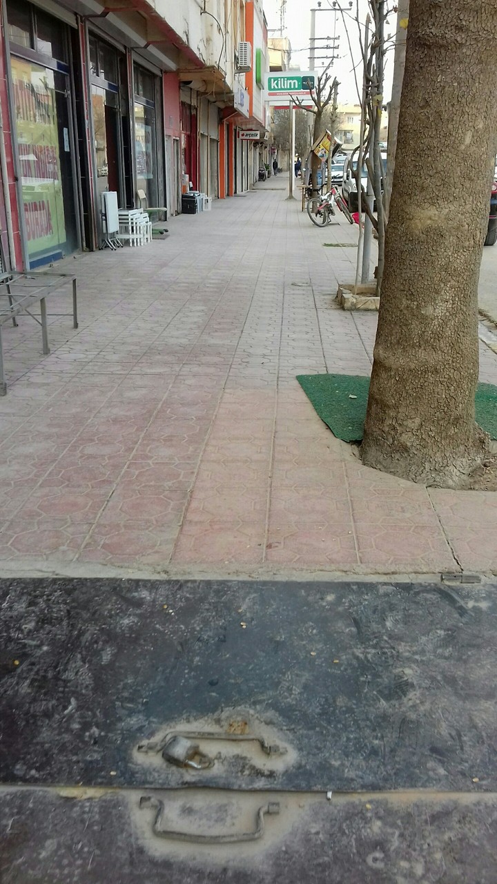 manzara