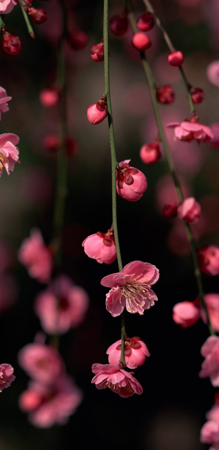 ¿All we have in this word. is the beauty of nature, no guys?