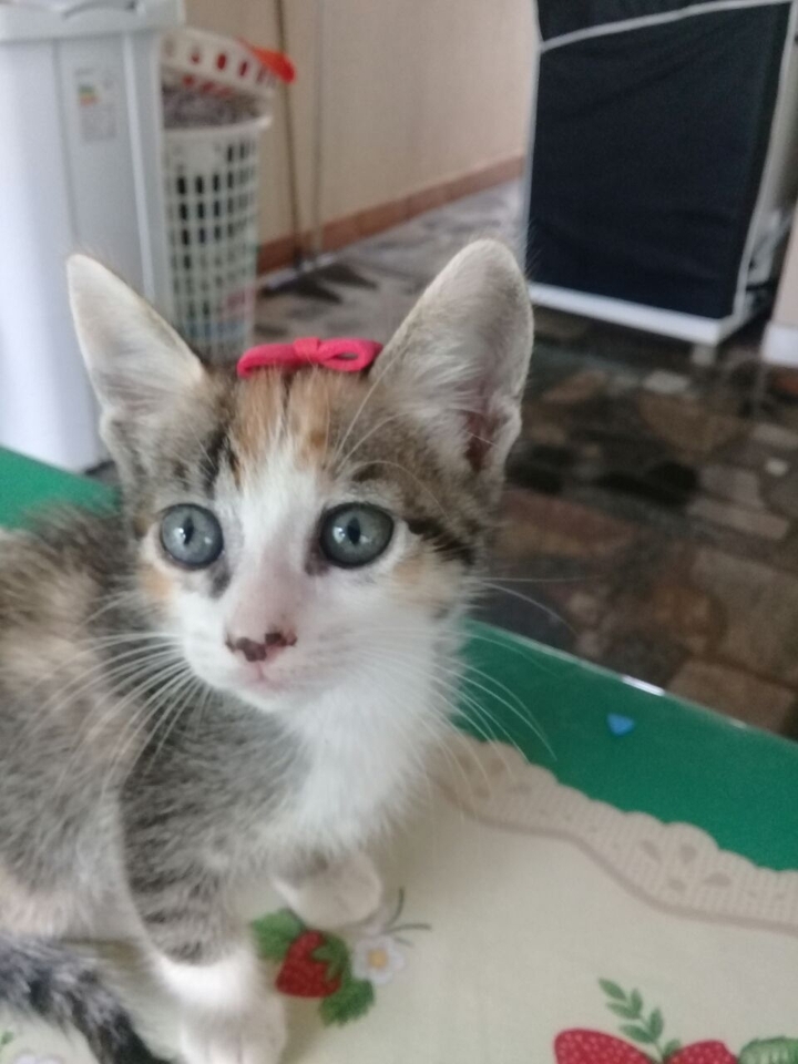 Rubi 