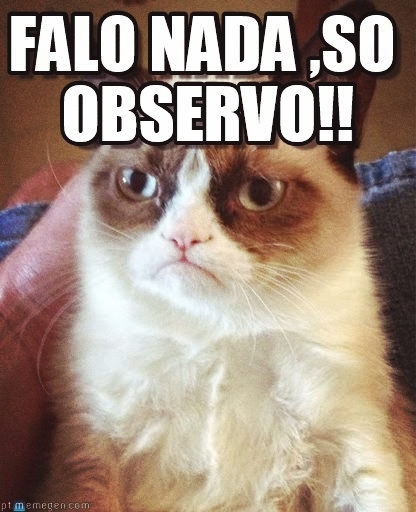 gato