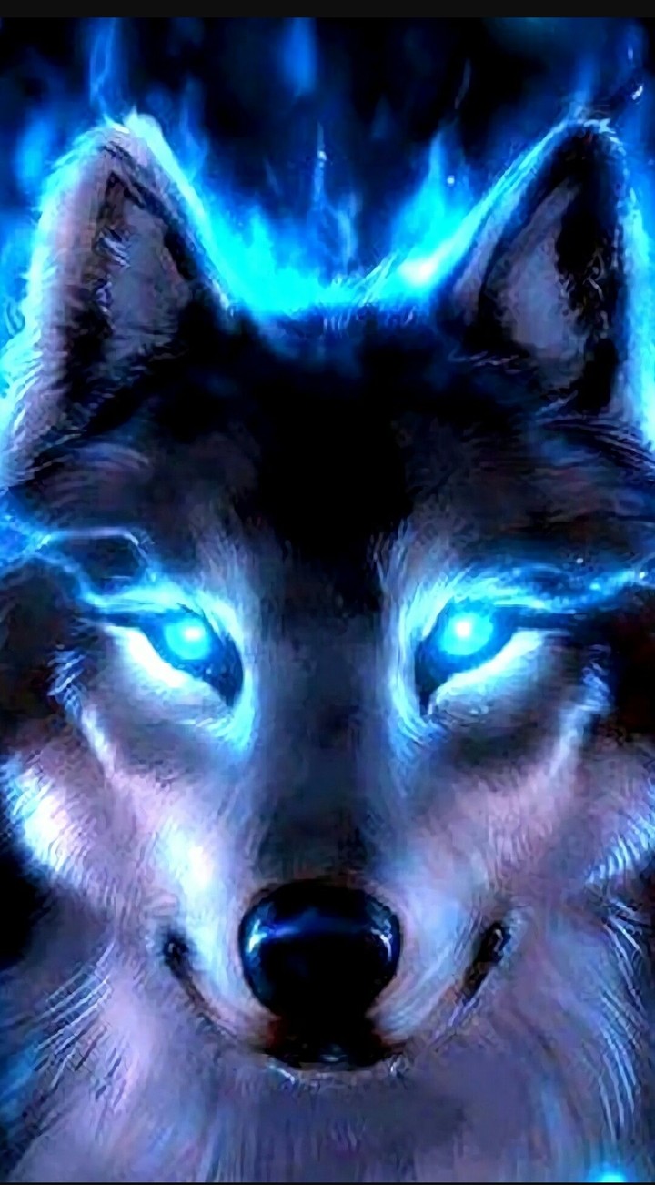 wolf