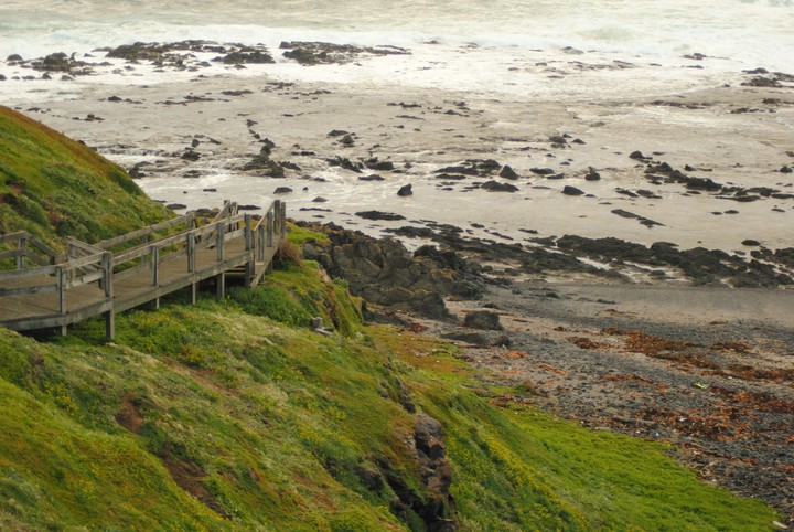 Philip Island