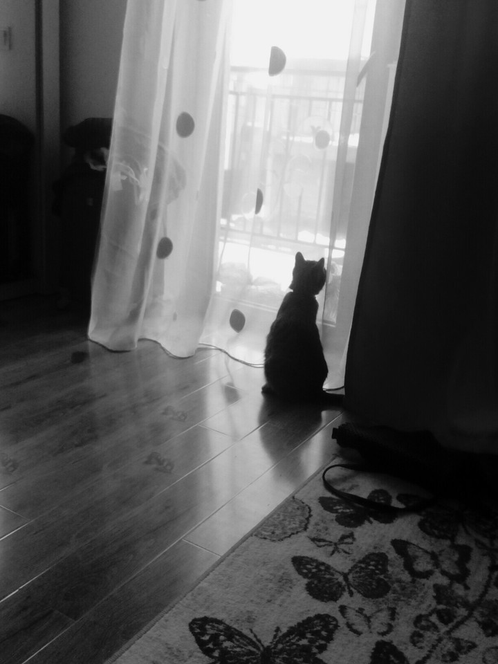 looking into the future