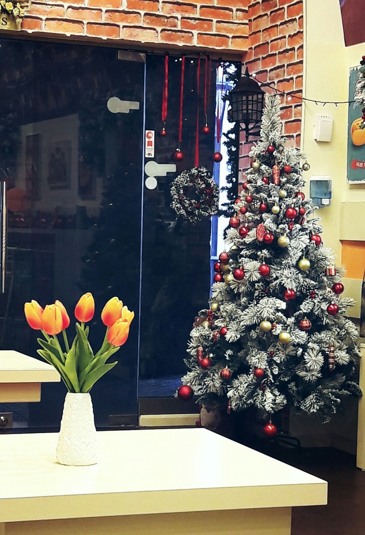 Christmas Tree