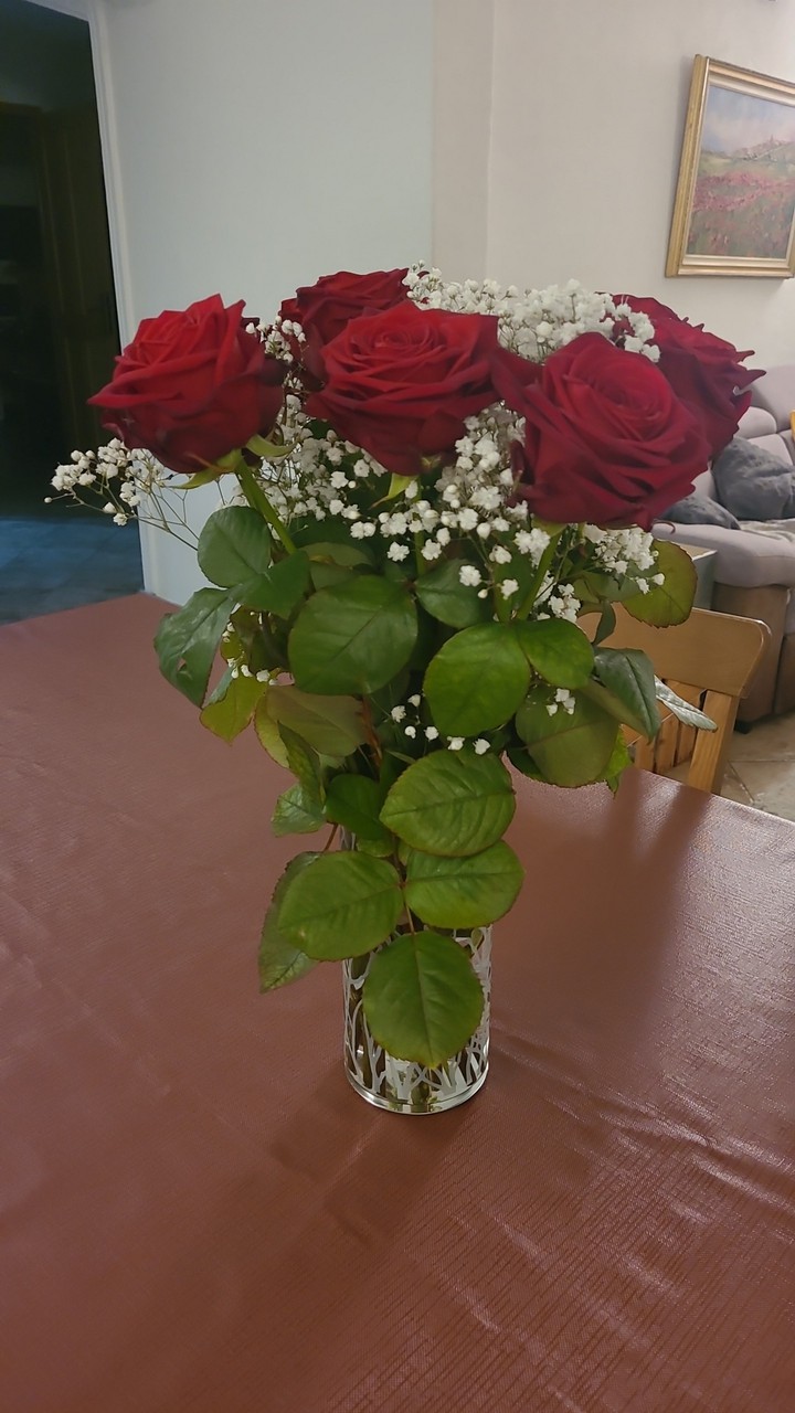 Birthday