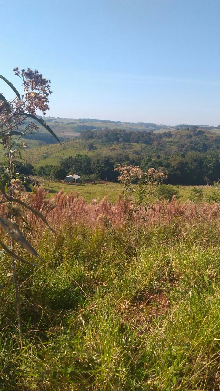 Natureza e linda
