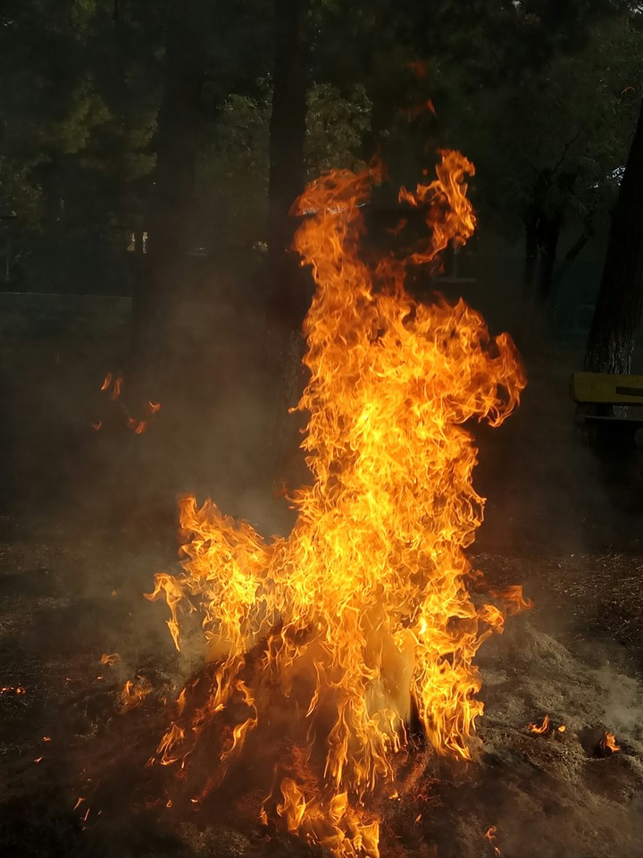 my heart fire