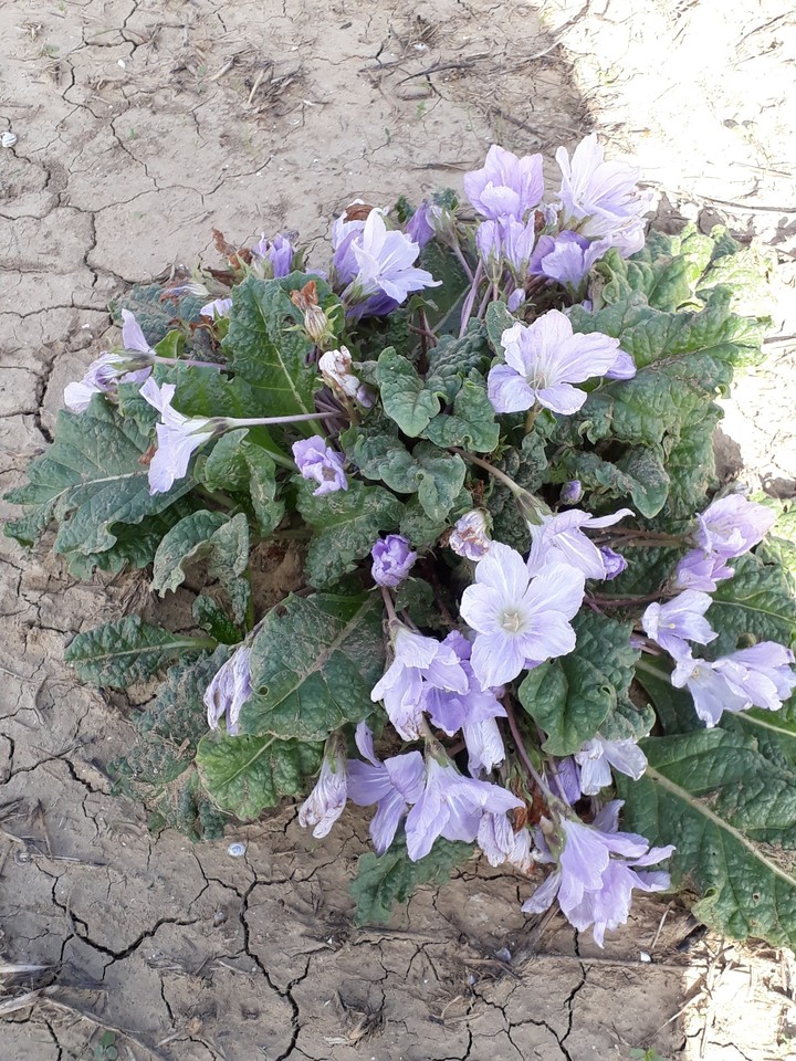 011