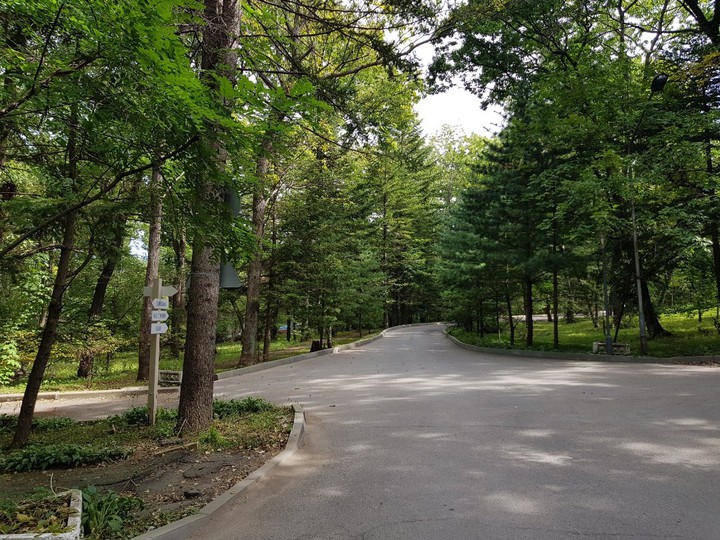 city park