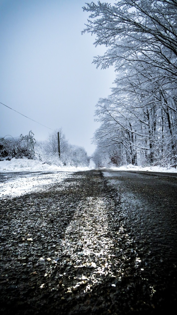winter