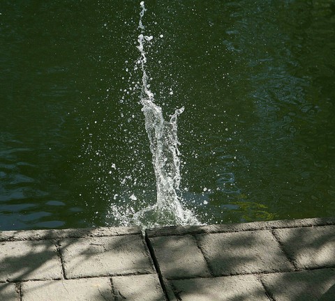 SPLASH