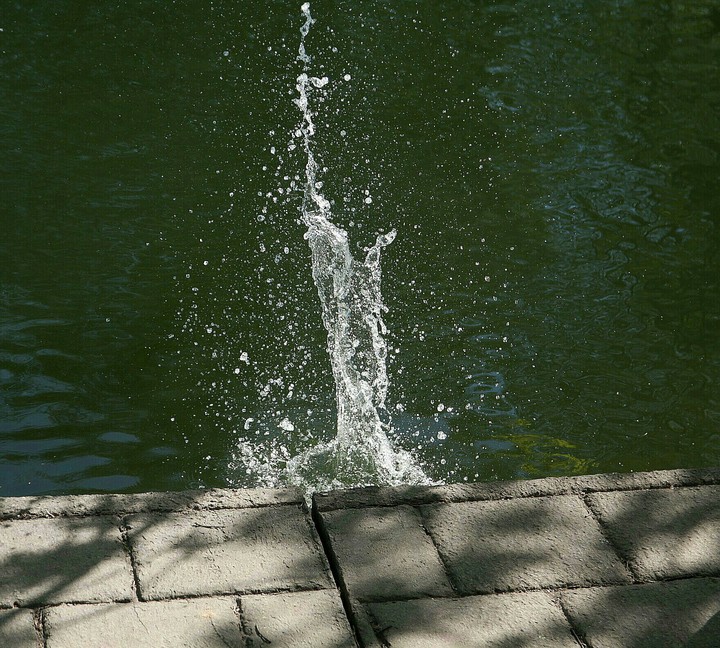SPLASH