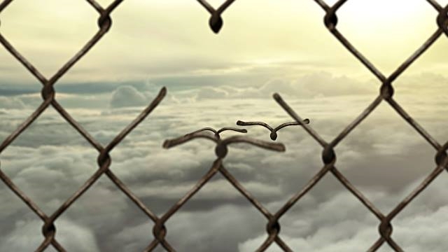 sky lover's