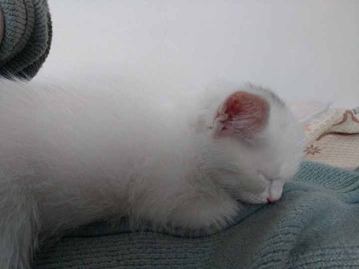 my little baby