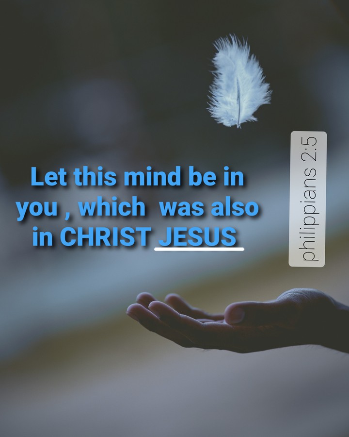biblevers