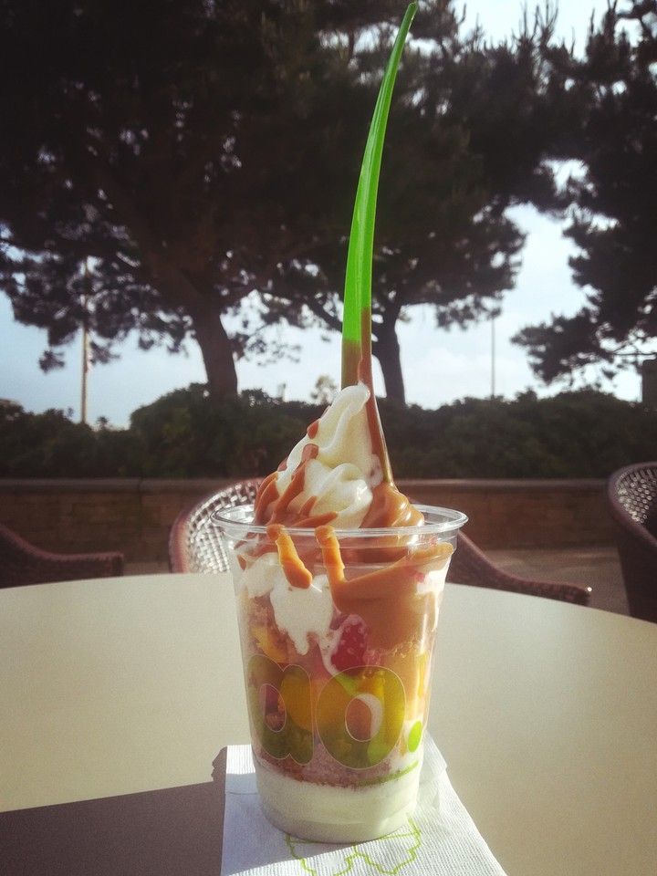 Fruit Ice Cream