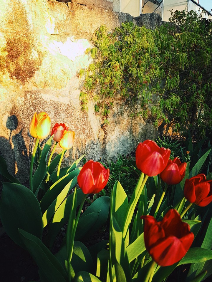 Frühling
