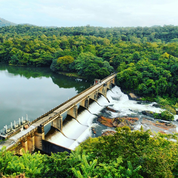 beautiful nature