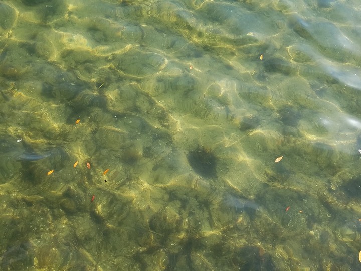 What color is the Sea