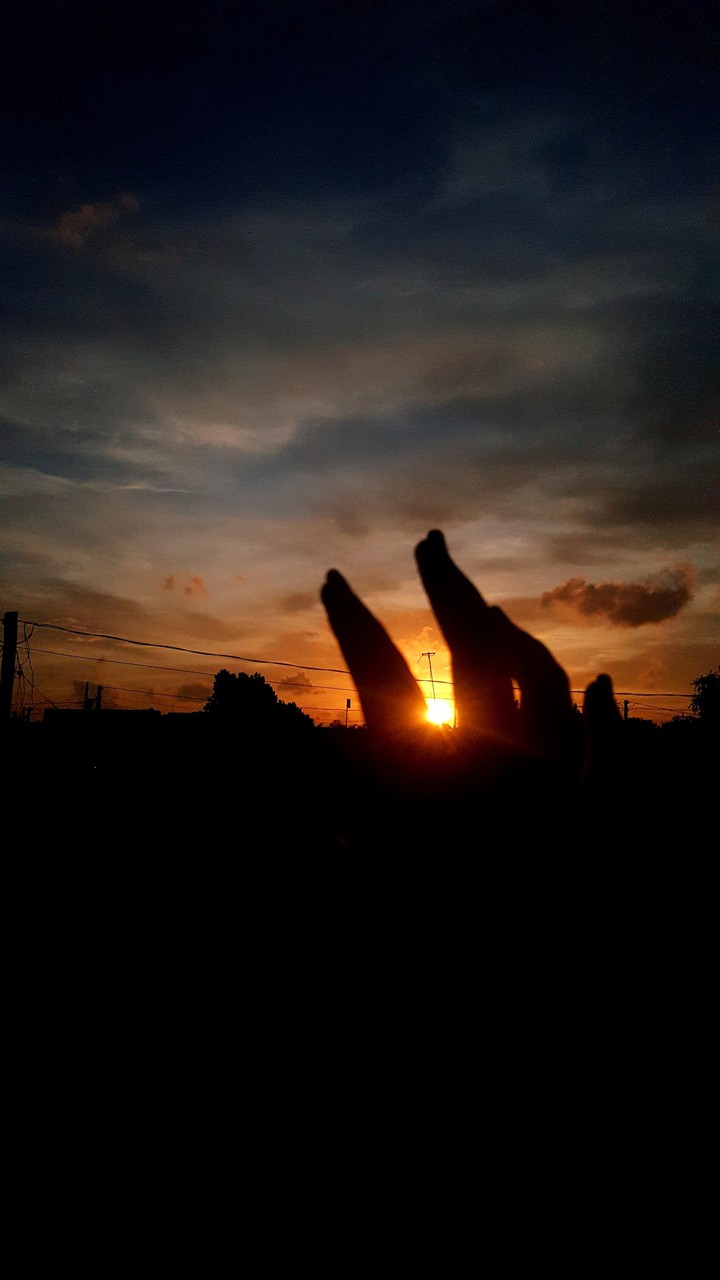 Feel