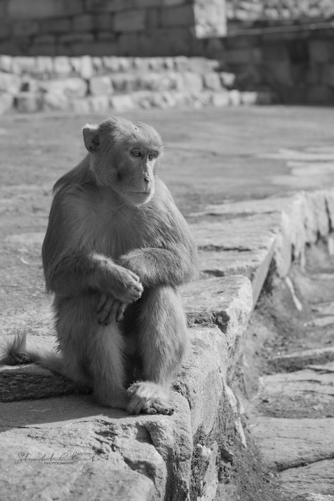 Deep in Thoughts!