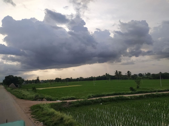 Nature