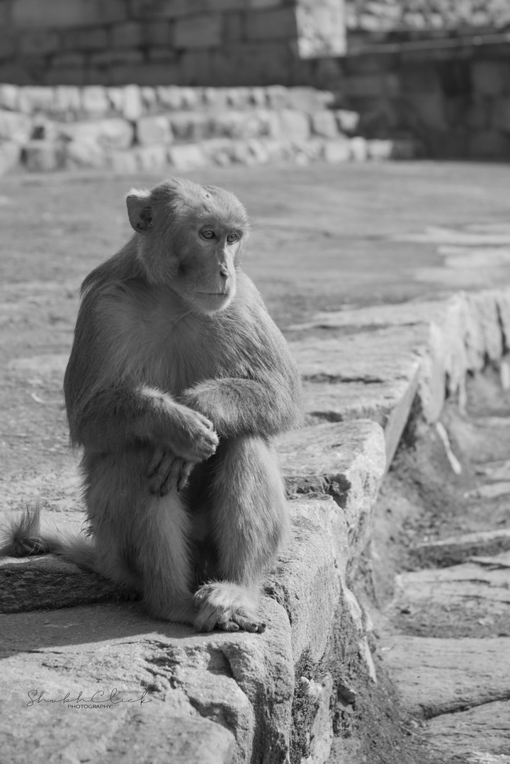 Deep in Thoughts!