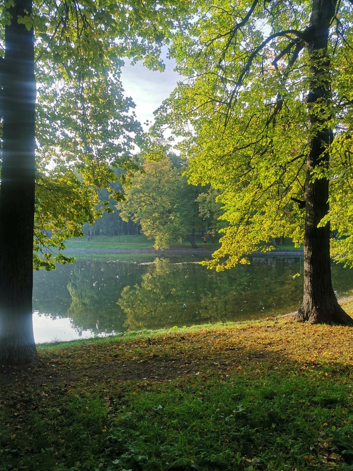 autumn