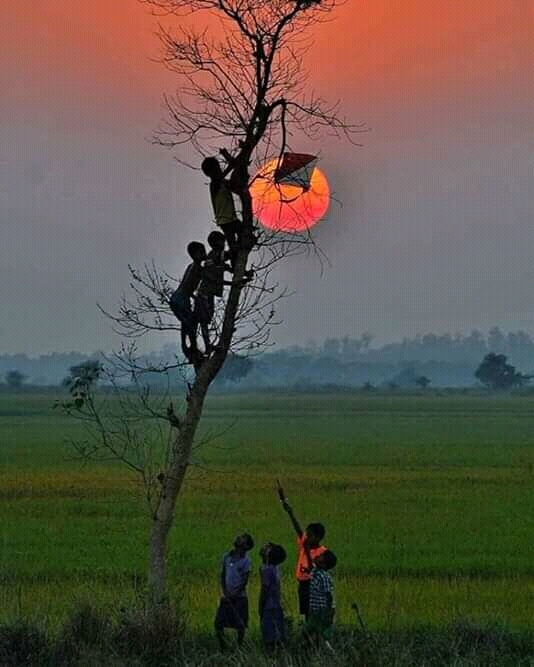 nice place