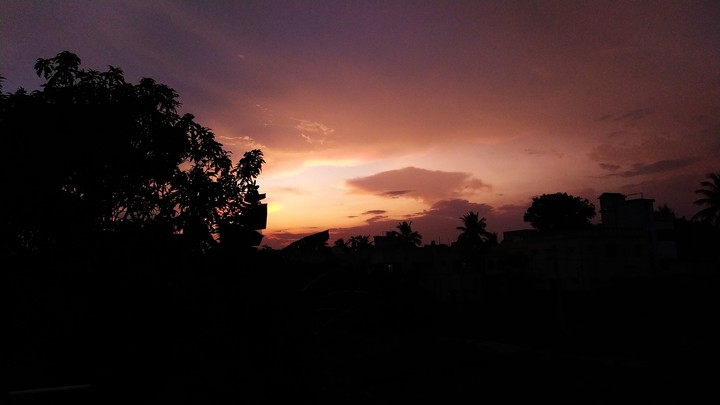 nature