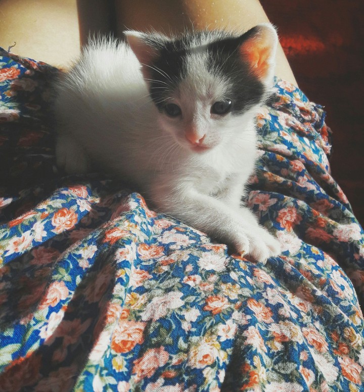 ☺