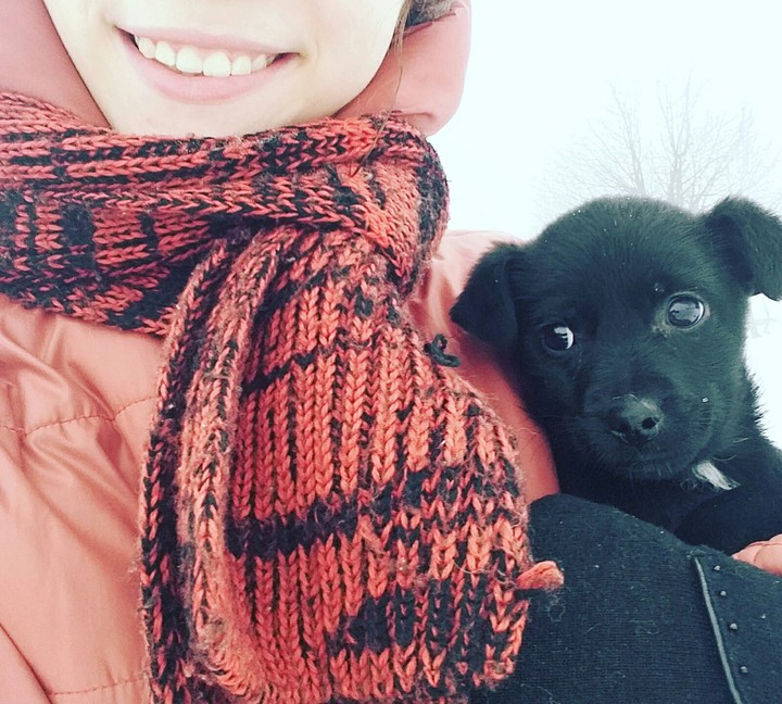 winter and dog